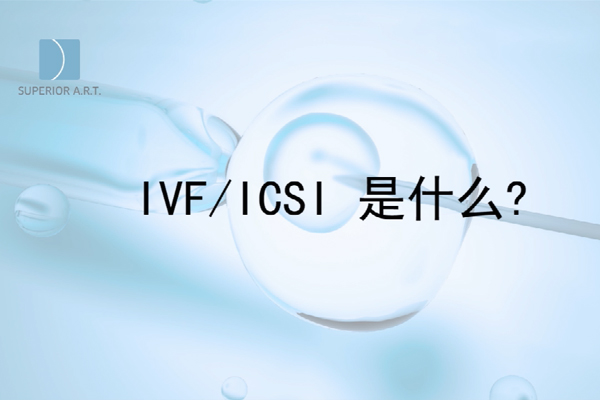 泰国SuperiorART燕威娜专家讲解,IVF/ICSI是什么？