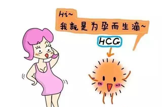 HCG、孕酮值、小产中间的关联