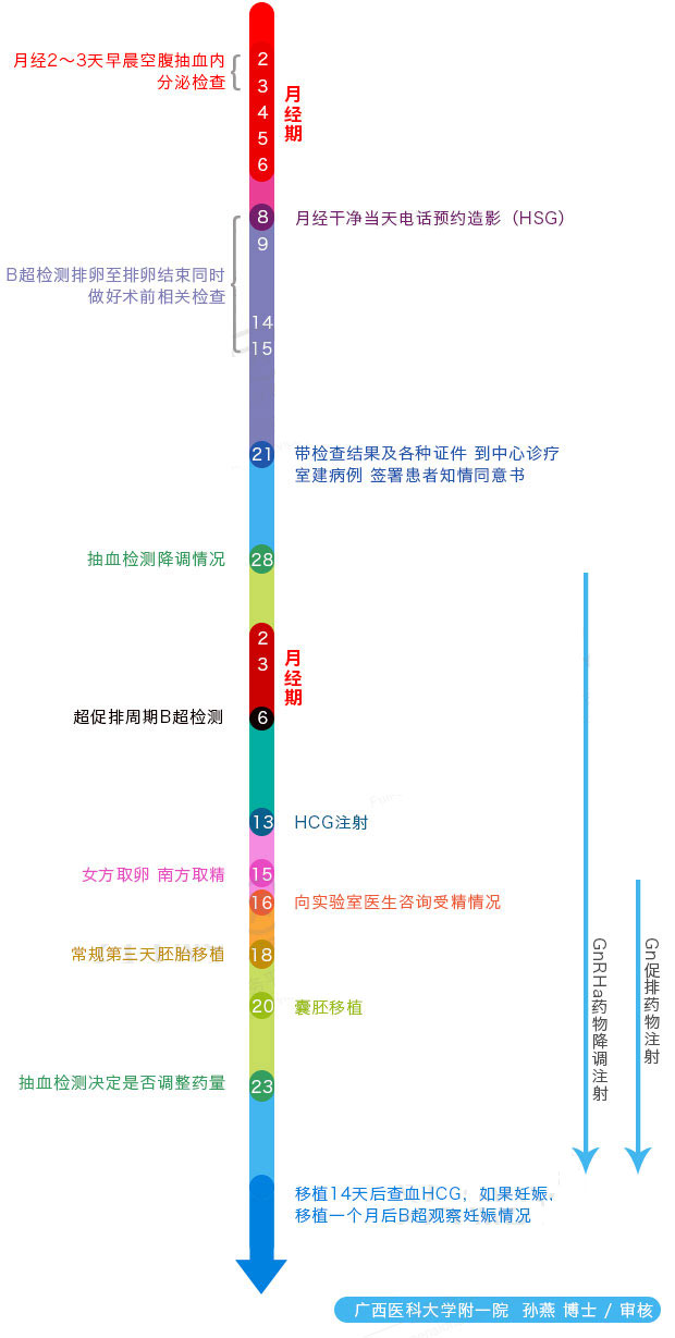 试管婴儿详细流程讲解