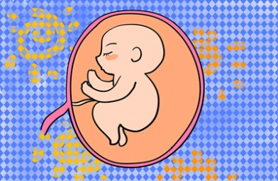 贵阳上海试管婴儿移植几个胚胎好？