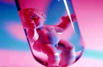贵阳广东广州做试管婴儿，哪些因素影响胚胎质量？