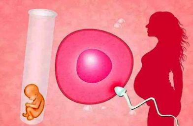 贵阳成都卵巢早衰女性如何做试管？