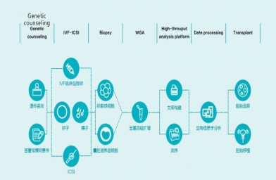 泰国试管婴儿8大核心步骤，1张流程导图看懂全过程-备孕试管不孕不育知识